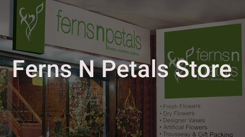 Ferns N Petals – Florist & Gift Shop, Plot No. 2, Shop no. 3 & 4, Thakur complex, Tilak Nagar, Ravi Nagar Square, Nagpur, Maharashtra 440010, India, Souvenir_Shop, state MH