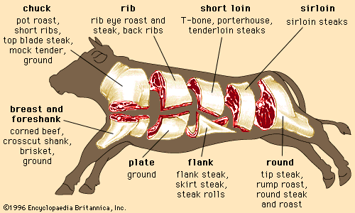 Meat Butchering Charts