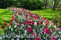 1 .Glória Ishizaka - Keukenhof 2015 - 100