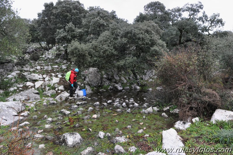 Benaocaz - Mitano - Casa de Fardela - Pajaruco