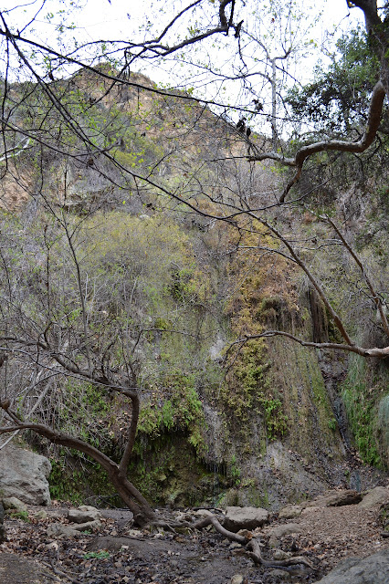 the whole lower waterfall