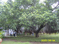 SA500837.JPG