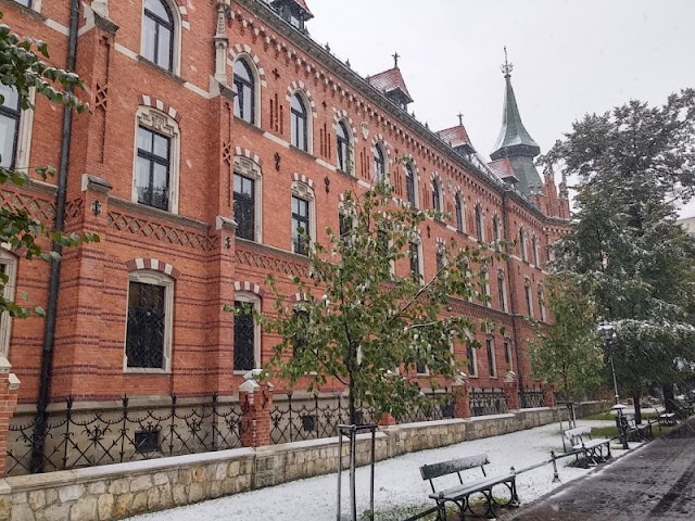 12/10- Más Cracovia y Wieliczka: De interiores y toneladas de sal - Patea conmigo Cracovia (4)