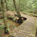 Small bridges over the little creeks (226156)