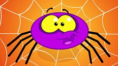 Incy Wincy Spider