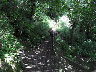 SDC11528 steps on the coast path down to fairlight glen