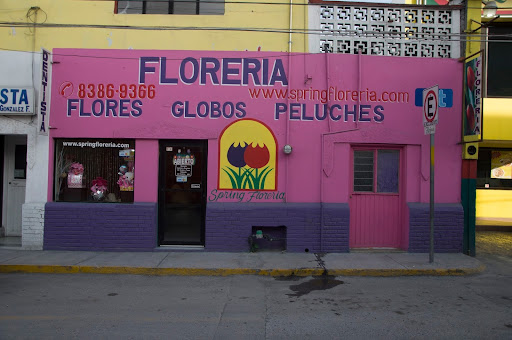 Spring Floreria Apodaca, Ignacio Allende 224, Cabecera Municipal (Apodaca), Apodaca Centro, 66600 Cd Apodaca, N.L., México, Tienda de globos | Apodaca
