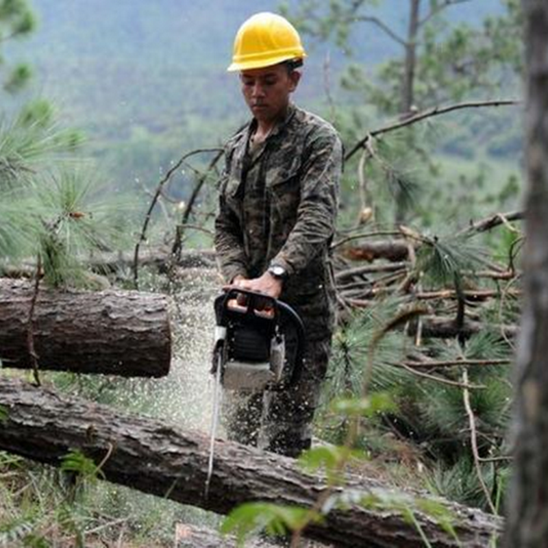 Honduras Has ‘ecological Catastrophe’ With Southern...