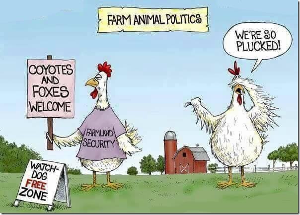 farm_animal_politics_web