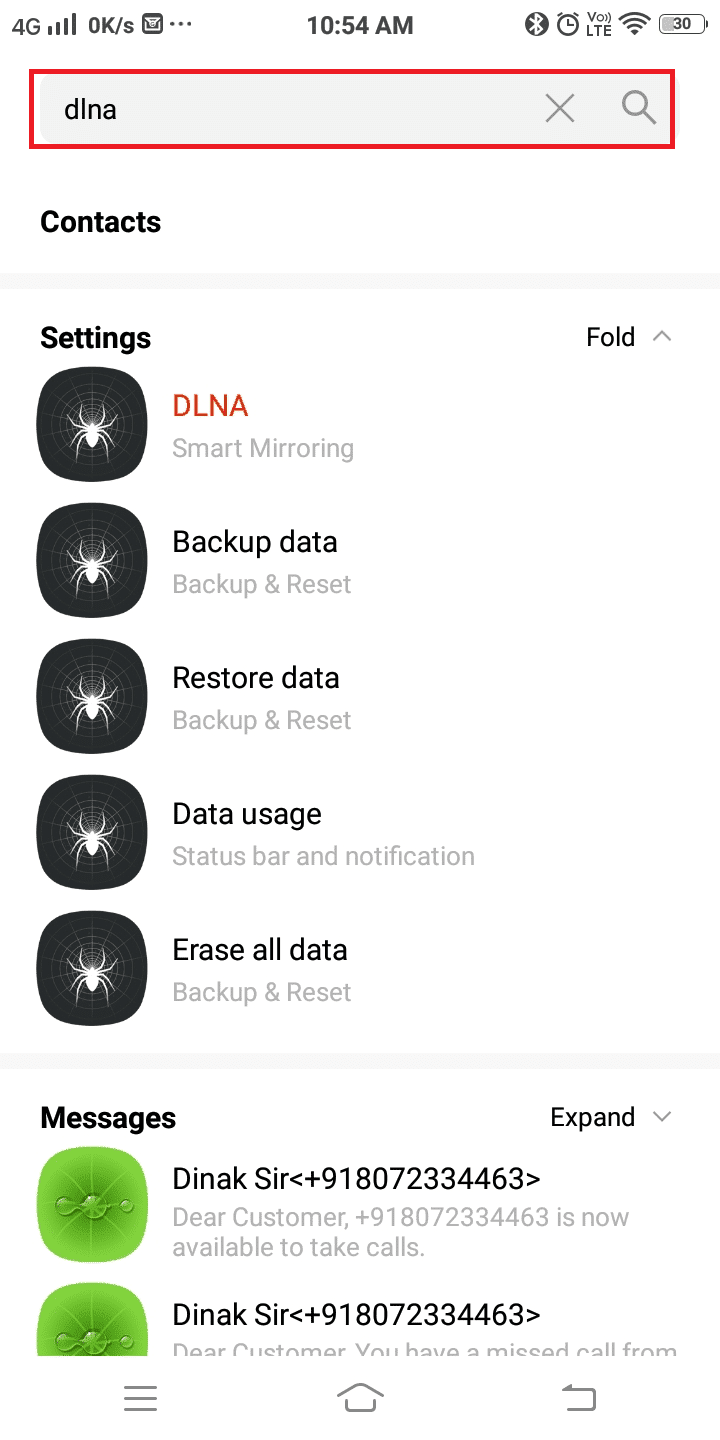 Maintenant, utilisez la barre de recherche et tapez dlna.