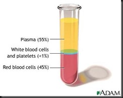 blood_plasma-12754