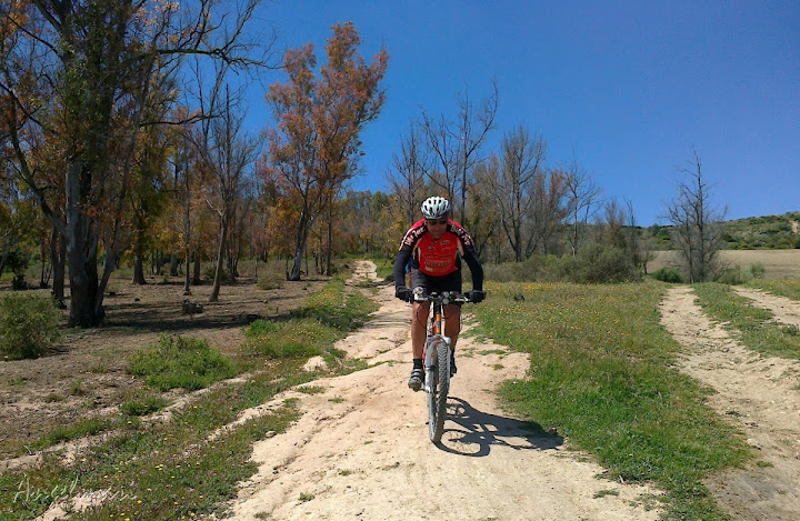 Qdda II Vuelta BTT a Jerez CJ24