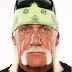 Hulk Hogan Racist Comments: My View