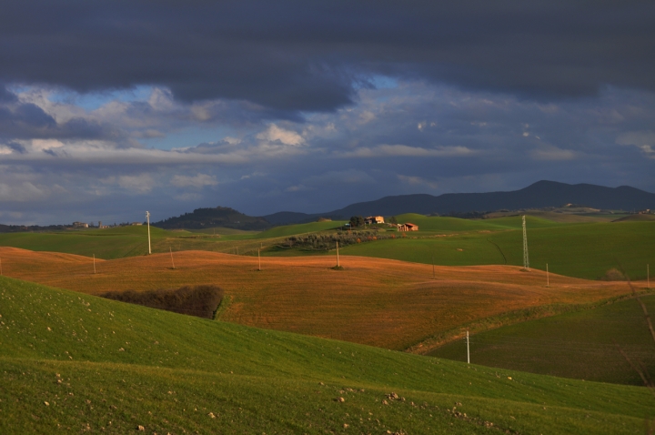 Tempesta in arrivo? di frank