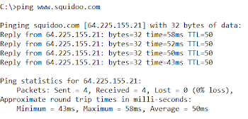 DNS in action