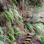 Track south from Pool of Siloam (186072)