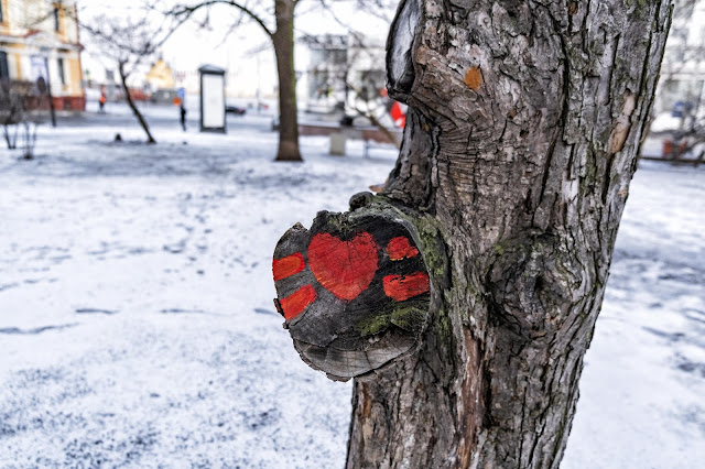 Сердечко на спиле дерева