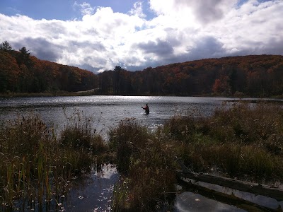 Photos of Beebe Hill State Forest