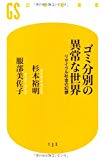 ゴミ分別の異常な世界―リサイクル社会の幻想 (幻冬舎新書)