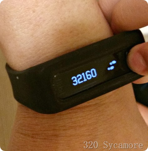 fitbit in disneyland