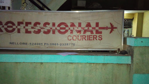 The Professional Couriers, No. 16/6/278, Bypass Road, Srinivas Agraharam, Nellore, Andhra Pradesh 524001, India, Courier_Service, state AP