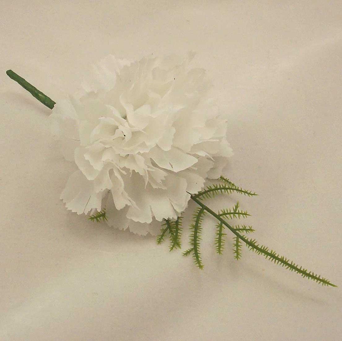 White Carnation Fern