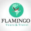 Flamingo Tours & Travel LLC logo