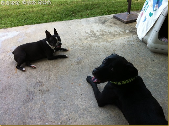 Matt & Ginger First Outdoor Meeting