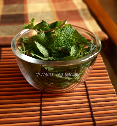 Mint Leaves