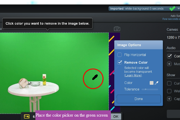 [place-color-picker-on-the-green-screen-screencastomatic%5B4%5D]