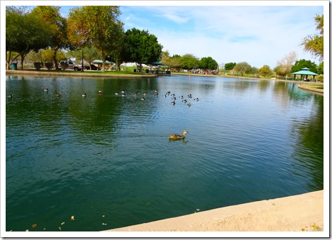 Yuma West Wetlands