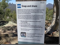 171107 062 Warrumbungles Whitegum Lookout