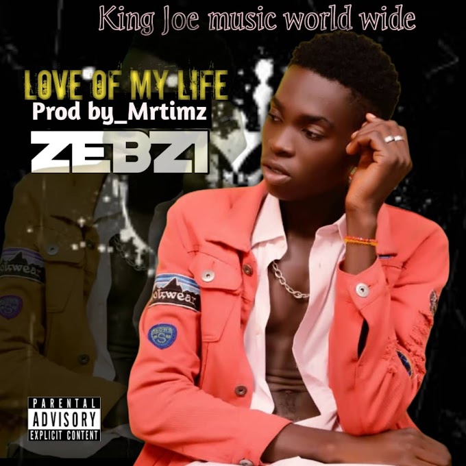 Music: Zebzi - Love of my life - Prod.by_ Mrtimz