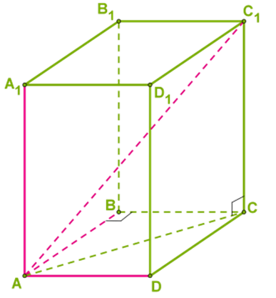 Прямая призма в основании прямоугольный треугольник рисунок