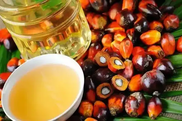 Is palm oil bad for you? Know the facts that most people not know about