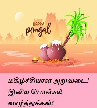 happy-pongal-wishes-in-tamil