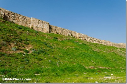 Amman citadel fortification eastern wall, tb031115005