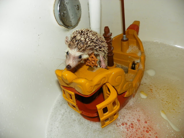 hedgehog taking bubble bath - Page 1 | BabyCenter