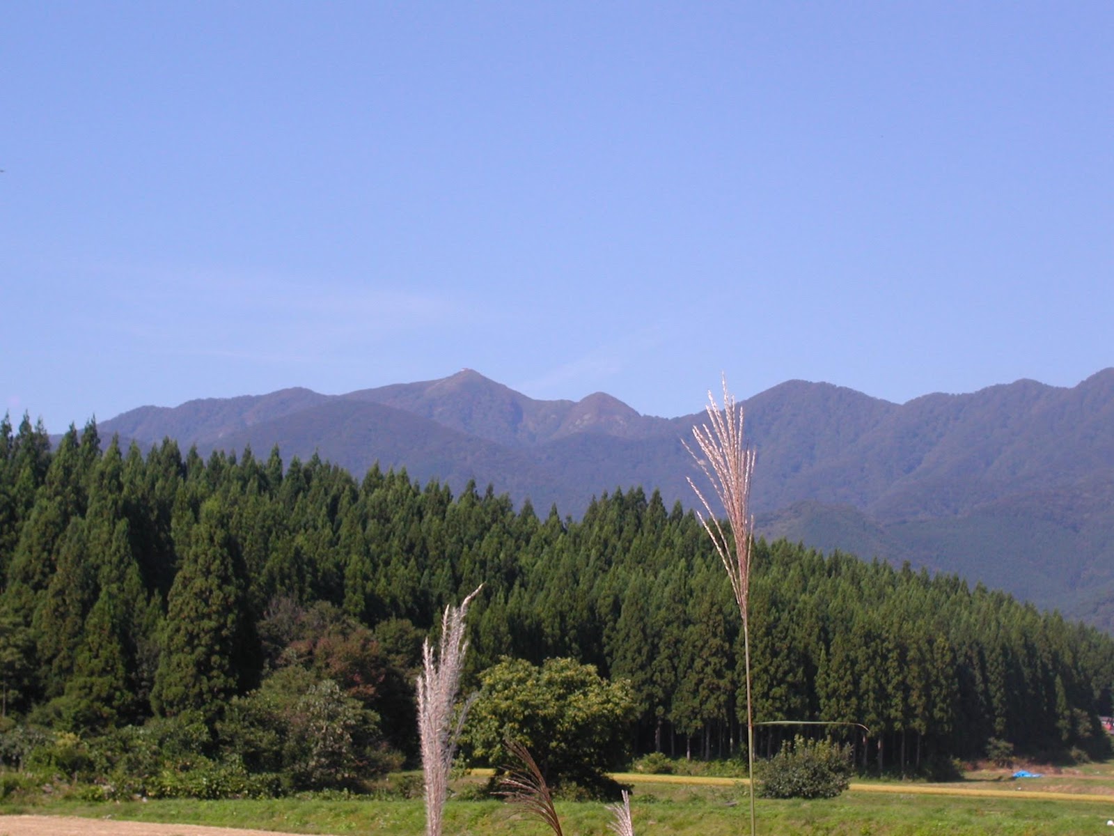 Mt. Taihei coloring. purple