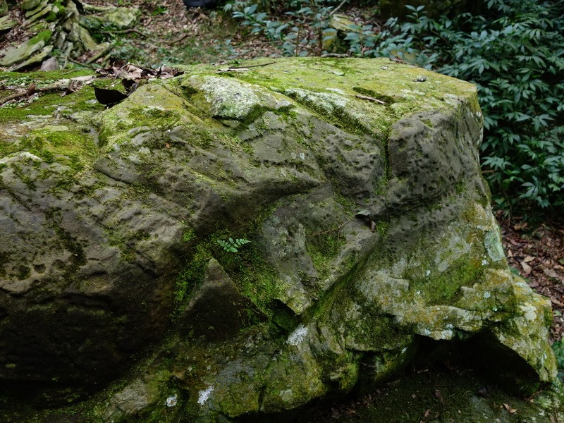 2014_0101-0105 萬山神石、萬山岩雕順訪萬頭蘭山_0487