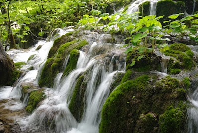 Kleiner moosbewachsener Wasserfall