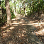 Uphill trail in Blackbutt Reserve (400480)