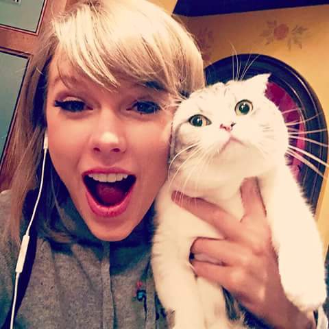 Taylor Swift Dp Profile Pics Whatsapp