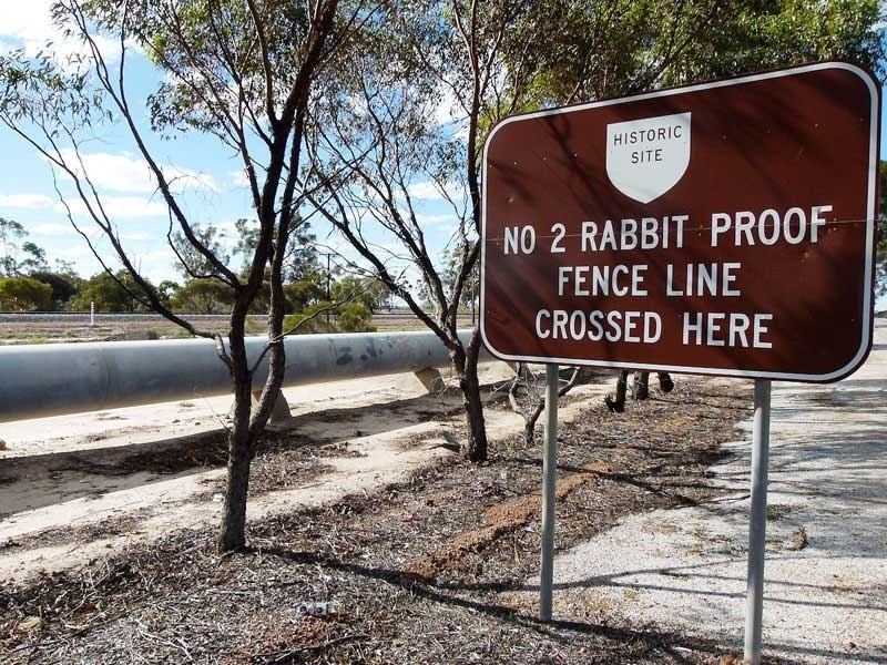 rabbit-proof-fence-12