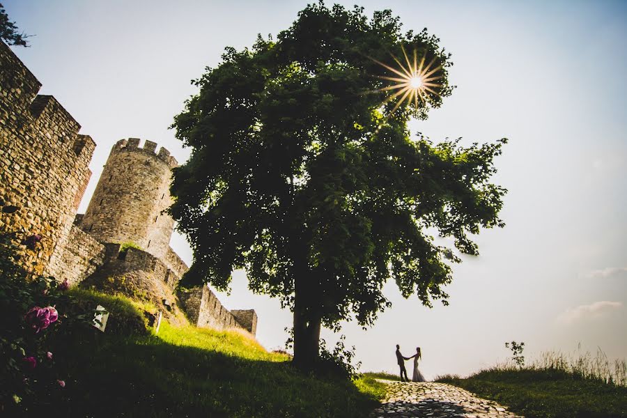 Fotografo di matrimoni Vladimir Milojkovic (mvladimir). Foto del 13 luglio 2017