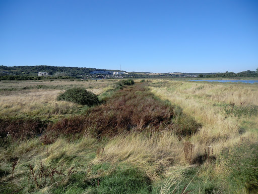 CIMG3947 Halling Salt Marsh