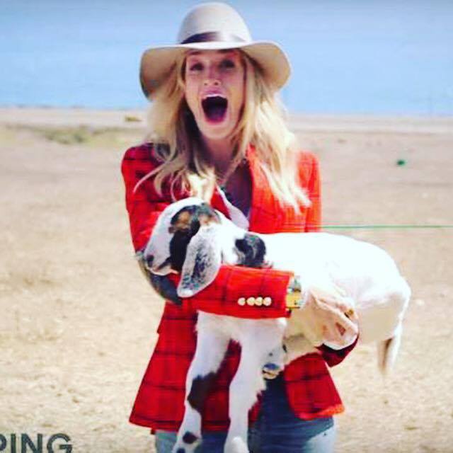 Beth Behrs Profile pictures, Dp Images, Display pics collection for whatsapp, Facebook, Instagram, Pinterest.