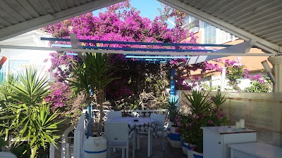 Photos of Romantic Palace