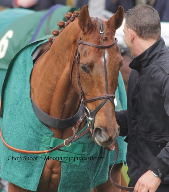 Photos Auteuil 1-03-2015 IMG_6955