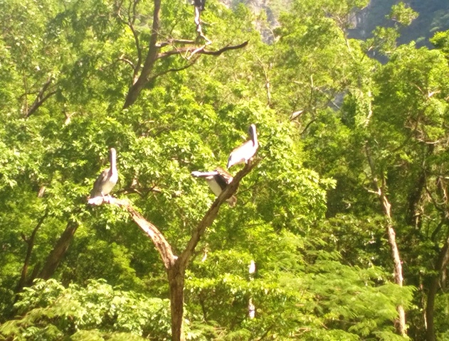 Cañon del sumidero y San Juan chamula - En solitario por Centro América (5)